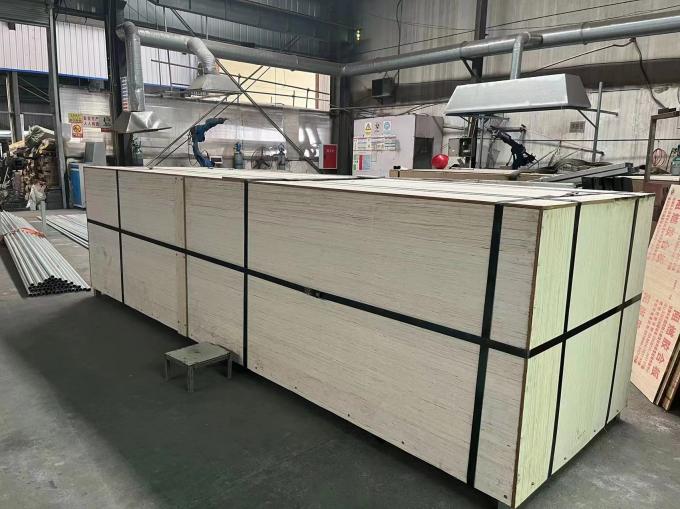 सिंगल स्पैन टनल प्लास्टिक फिल्म कृषि ग्रीनहाउस उच्च आपदा प्रतिरोध 5