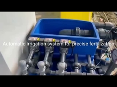 सिंचाई एवं उर्वरक की सम्पूर्ण व्यवस्था