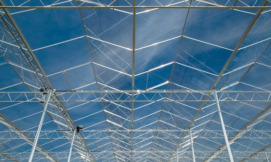 एल्यूमीनियम जस्ता कोटिंग पाइप के साथ पारदर्शी ग्लास ग्रीनहाउस