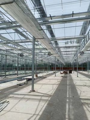 स्थायित्व और यूवी सुरक्षा के साथ आधुनिक आयताकार ग्लास ग्रीनहाउस