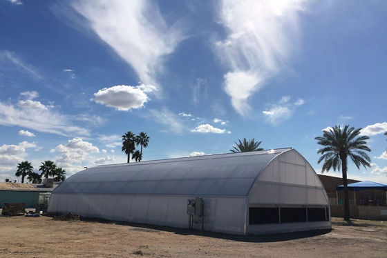 एल्यूमीनियम जस्ता लेपित प्लास्टिक फिल्म ग्रीनहाउस यूवी संरक्षित प्रकाश संचरण विरोधी उम्र बढ़ने विरोधी ड्रिप