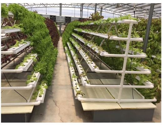 एलईडी हाइड्रोपोनिक सिस्टम ऑटोमैटिक वॉटरिंग के साथ रॉकवॉल ग्रो मीडियम मैनुअल पीएच कंट्रोल